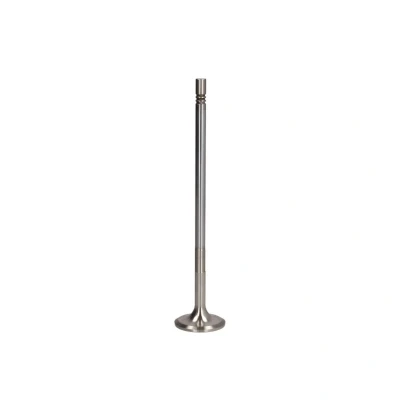 Afbeelding van TRW Engine Component Inlaatklep 48313