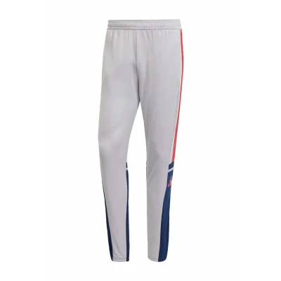 Afbeelding van adidas SQUADRA25 Trainingsbroek voor heren, Glory Grey/Team Navy Blue 2/Pure Ruby, XS
