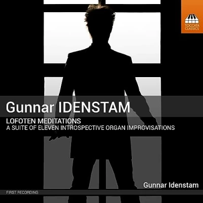 Afbeelding van Gunnar Idenstam Lofoten Meditations (CD)