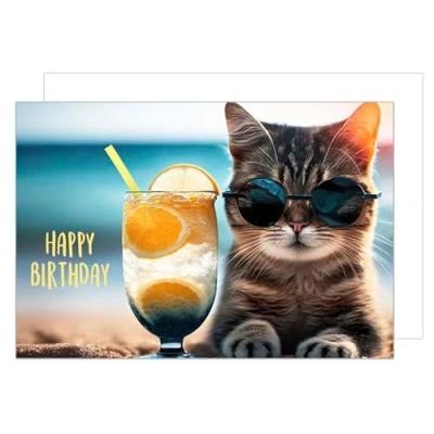 Afbeelding van Edition Seidel XXL verjaardagskaart met envelop DIN A4 wenskaart Happy Birthday ticket voor mannen vrouwen kat strand (A4 G9999)