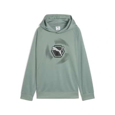 Afbeelding van Active Sports Poly hoodie met print voor Heren, Groen, Maat 15 16Y PUMA
