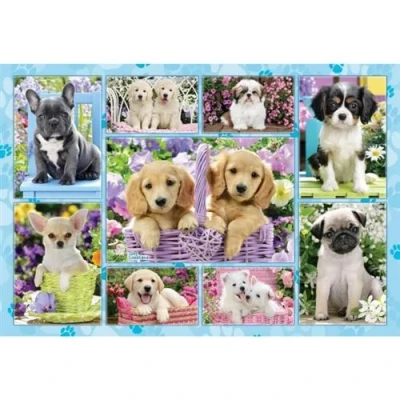 Image de Puzzle Schmidt Chiots, 200 pièces