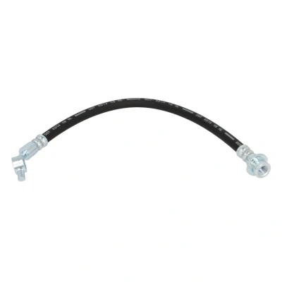 Afbeelding van Remslang DELPHI LH6888