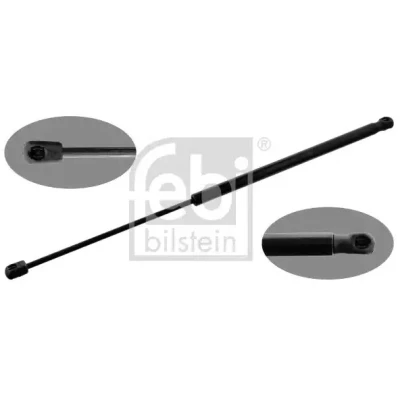 Afbeelding van Febi Bilstein Gasveer 47117