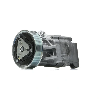 Afbeelding van VALEO 559601 AC Compressor DKV08R 12 PAG 100 R 134a Met compressorolie NISSAN: Micra C+C 3, Note I