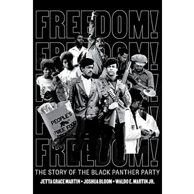 Afbeelding van Freedom! the Story of Black Panther Party
