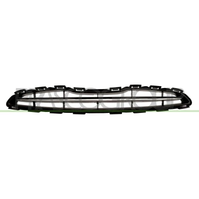 Afbeelding van PRASCO Premium DS0142011 Grille Auto Chroom