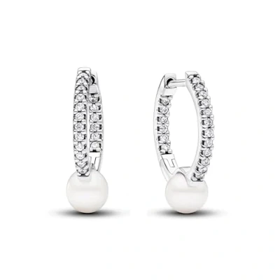 Afbeelding van Pandora Timeless 925 Sterling Zilveren Oorknoppen 293171C01