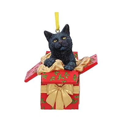 Afbeelding van Nemesis Now Present Cat Kerstbal Multicolours