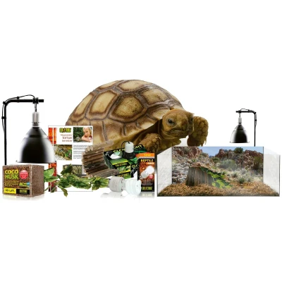 Afbeelding van Exo Terra EX kit terrarium landschildpad