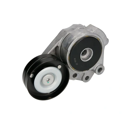 Afbeelding van BTA E3W0009BTA Riemspanner VOLKSWAGEN: Golf 6, Polo V Hatchback, 6 Cabrio