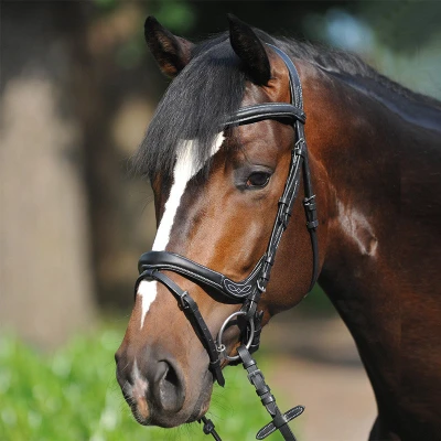 Image de Kavalkade Bride Ivy Combi Muserolle Noir Poney