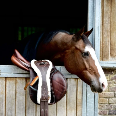 Afbeelding van Anatomische singel wol / bont bruin 145 cm