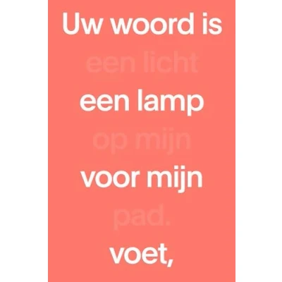 Afbeelding van NBV21 Midsize Paperback