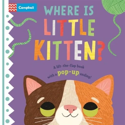 Afbeelding van Where is Little Kitten?