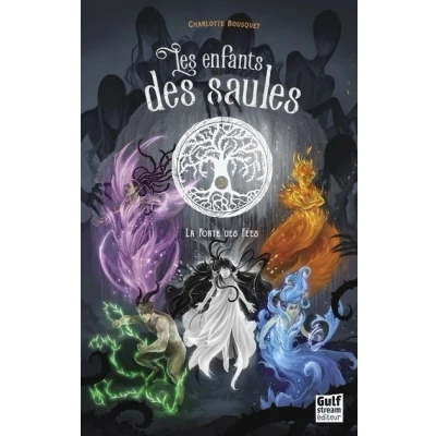 Image de Les Enfants des saules Tome 3 La porte fées
