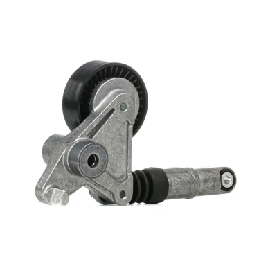 Afbeelding van Skf Spanrol (poly) V riem VKM 31300