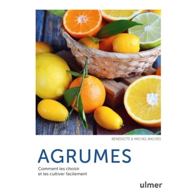 Image de Agrumes Comment les choisir et cultiver facilement