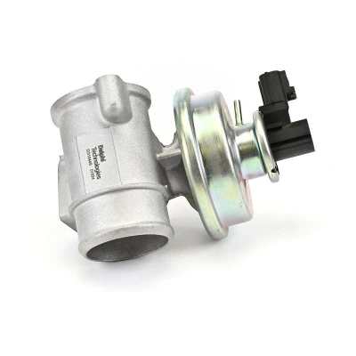 Afbeelding van DELPHI EG10449 12B1 EGR klep