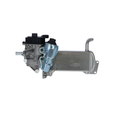 Afbeelding van NRF 48201 AGR modul Met koeler VOLKSWAGEN: Amarok Pickup