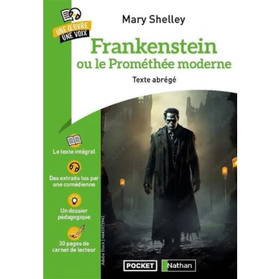 Image de Frankenstein une oeuvre voix