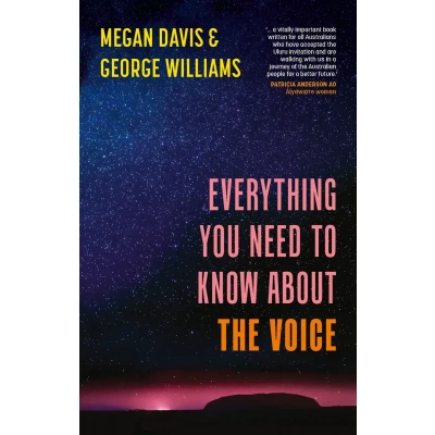 Afbeelding van Everything You Need to Know about the Voice