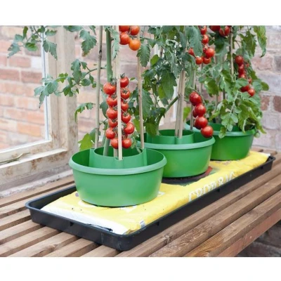 Afbeelding van Garland Plant en gietpot groen set van 3 stuks Halos: Een alles in één oplossing voor bewatering gewasondersteuning