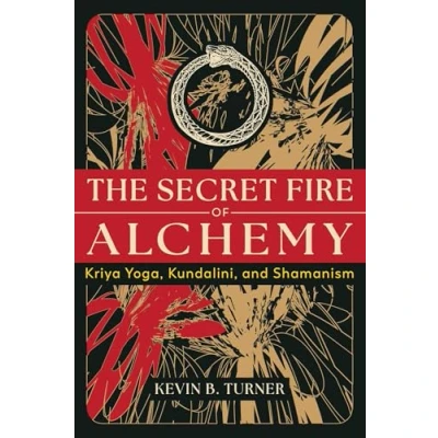 Afbeelding van The Secret Fire of Alchemy