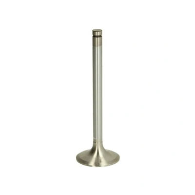 Afbeelding van Mahle Original Inlaatklep 209 VE 31294 000