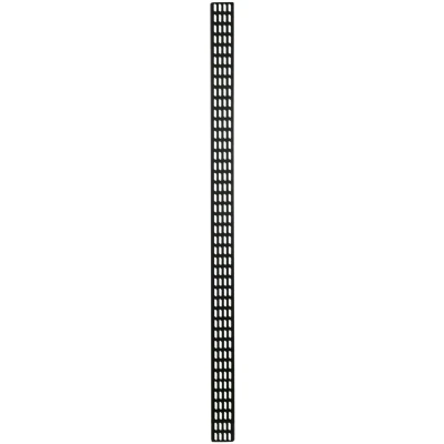 Afbeelding van DSIT 42U verticale kabelgoot 30cm breed netwerkkabel