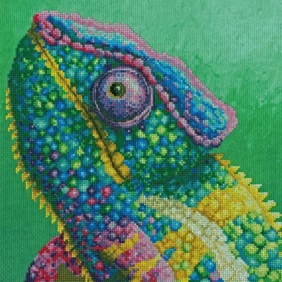 Afbeelding van Bothy Threads borduurpakket kameleon The Menagerie:Illusion by Rachel Froud XRF2 borduren