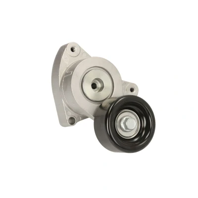 Afbeelding van Gates Spanrol (poly) V riem T38421