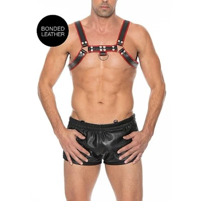 Afbeelding van Buckle Bulldog Harness Rood