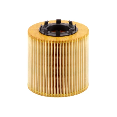 Afbeelding van Mann filter Oliefilter HU 923 X
