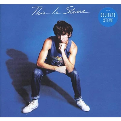 Afbeelding van Delicate Steve This Is (LP)