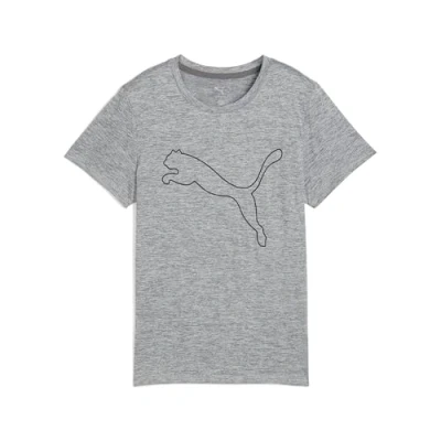 Afbeelding van Puma, Vrouwen, Sportief shirt, W TAD ESSENTIAL Heather Logo Tee (M), Grijs, M