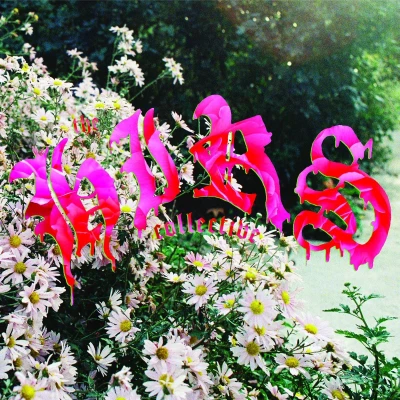 Afbeelding van Hirs Collective Friends. Lovers. Favorites (LP)