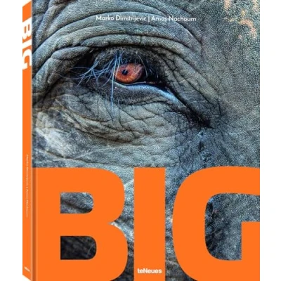 Afbeelding van Big