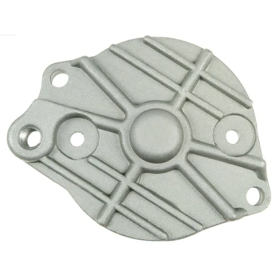 Afbeelding van Startmotordeksel, carburateur AS PL SBR9006