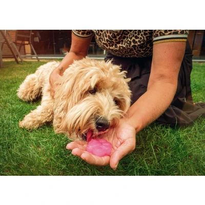 Afbeelding van Coolpets Dog Ice Mix Strawberry