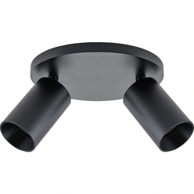 Afbeelding van CAN TILT plafondspot, zwart, Ø 20 cm, 2 lamps metaal GU10