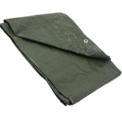 Afbeelding van GARDENIX Dekzeil in weefsel van 90 g/m² (6 x 8 m), groen