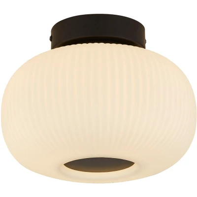 Afbeelding van Plafondlamp Lumina van frosted glas