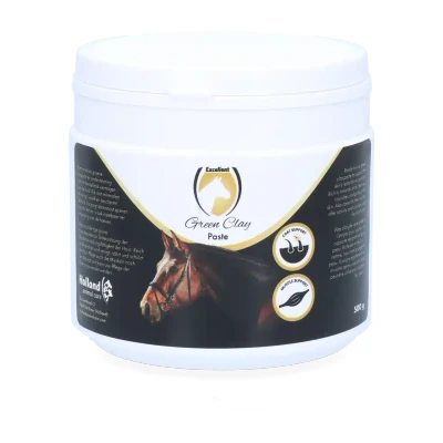 Afbeelding van Excellent Groene Klei Pasta 250g