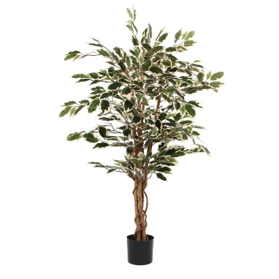 Afbeelding van Mica Decorations ficus hawaii 105x60 groen bont in plastic pot