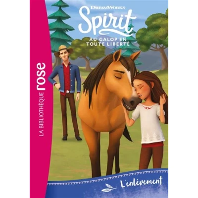 Image de Spirit 09 L&#039;enlèvement