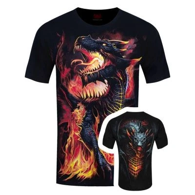 Image de Spiral T Shirt Draconis Homme Noir Taille M