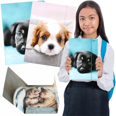 Afbeelding van HOND Gelamineerde schoolmap met elastiek A4 STARPAK