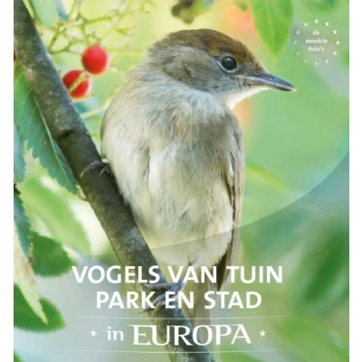 Afbeelding van Vogels van tuin, park en stad in Europa