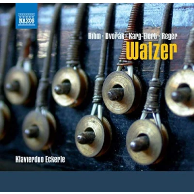 Afbeelding van Klavierduo Eckerle Walzer (CD)